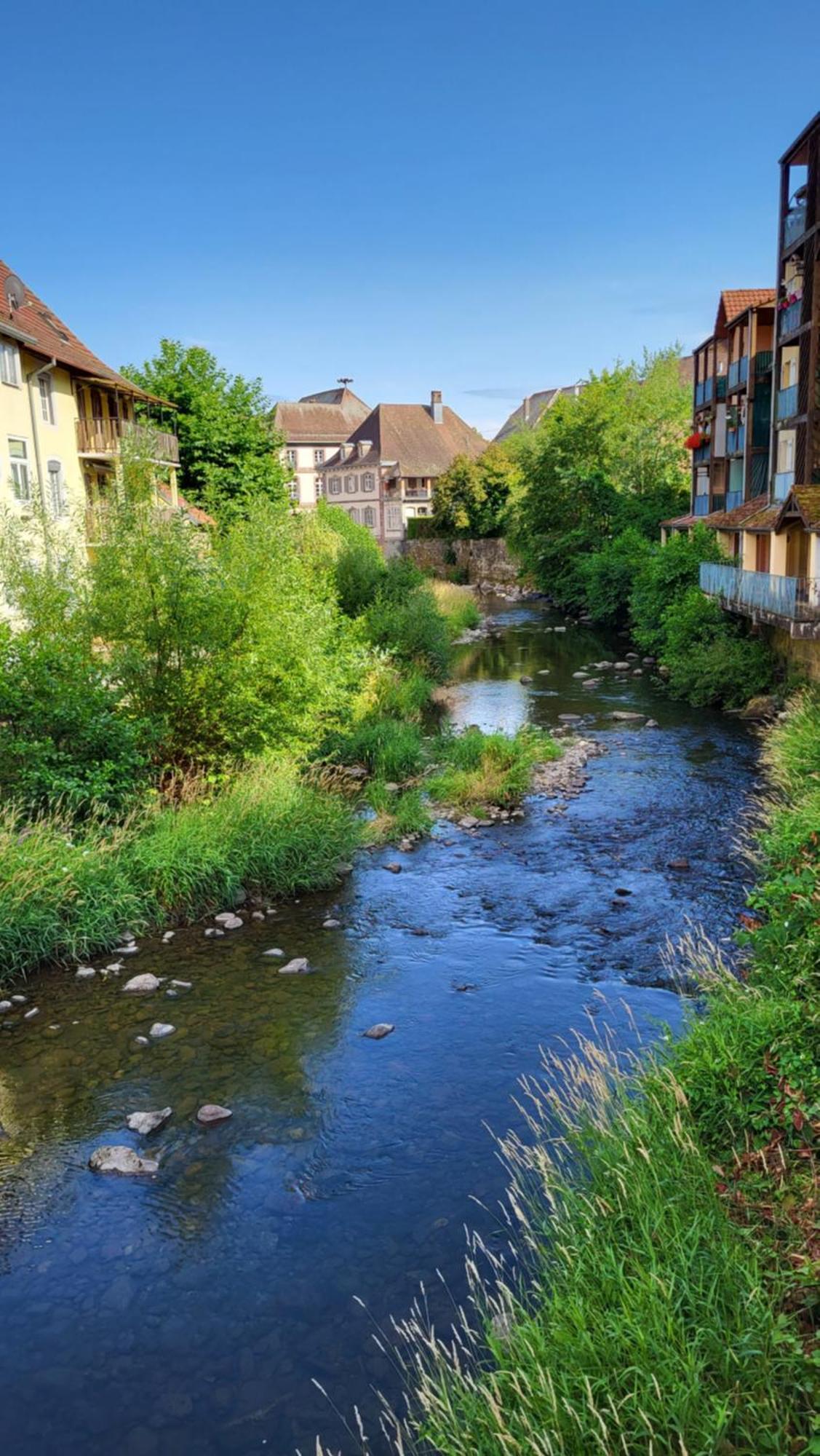 Gite Violette Et Pierrot Masevaux-Niederbruck Exteriér fotografie