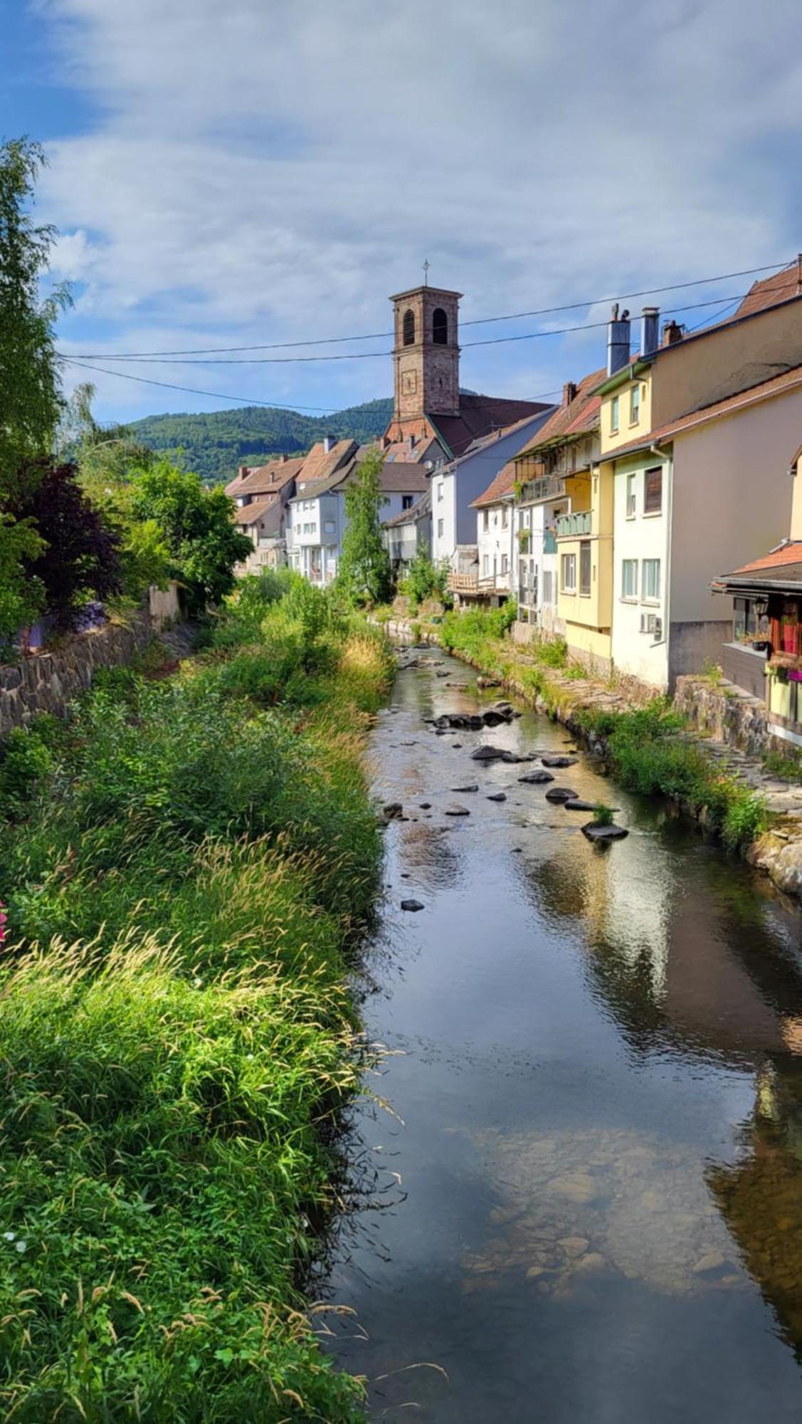 Gite Violette Et Pierrot Masevaux-Niederbruck Exteriér fotografie