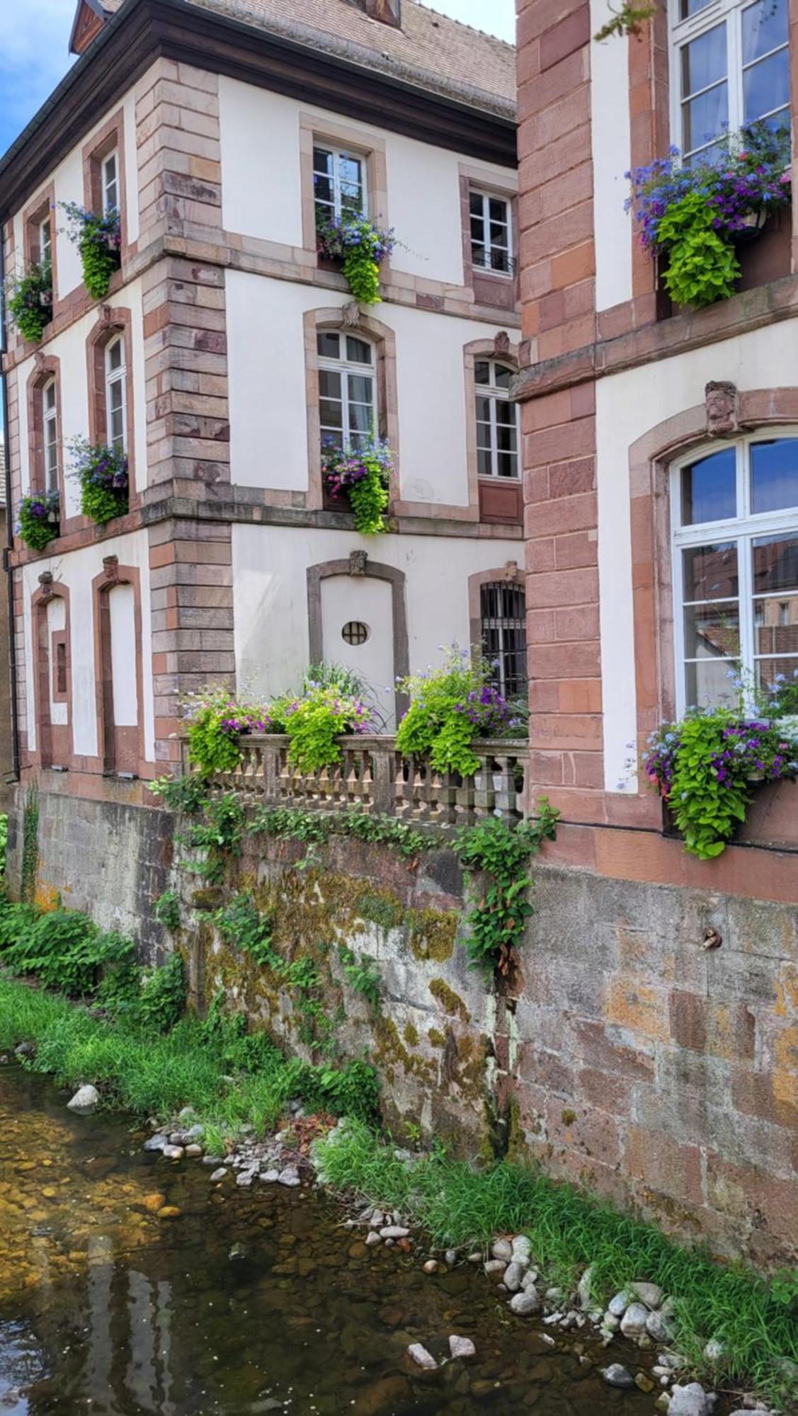 Gite Violette Et Pierrot Masevaux-Niederbruck Exteriér fotografie