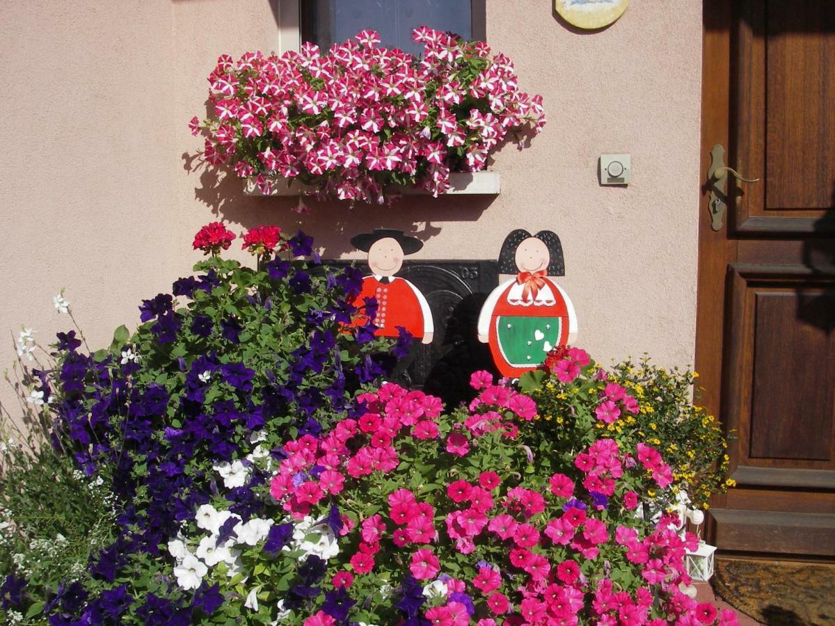 Gite Violette Et Pierrot Masevaux-Niederbruck Exteriér fotografie