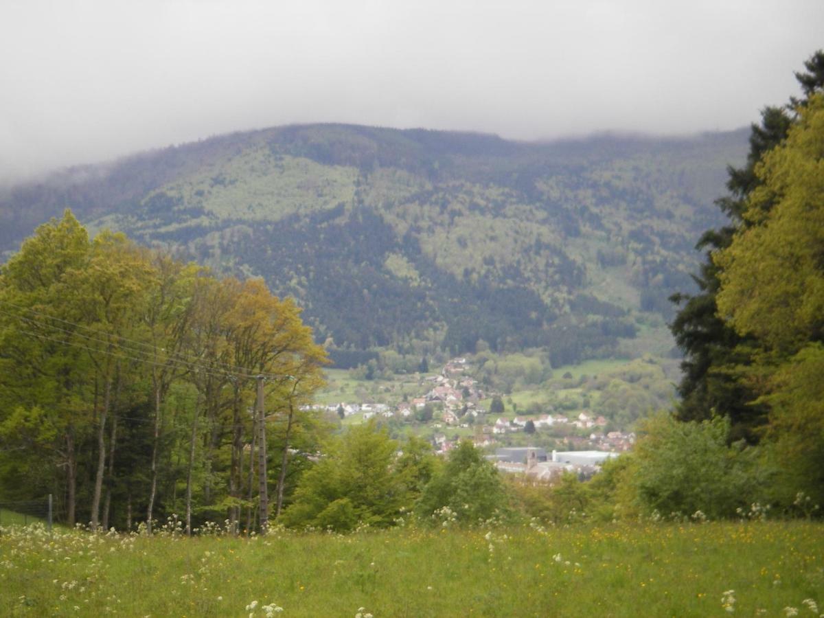 Gite Violette Et Pierrot Masevaux-Niederbruck Exteriér fotografie